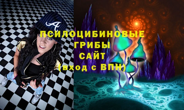 2c-b Алексин