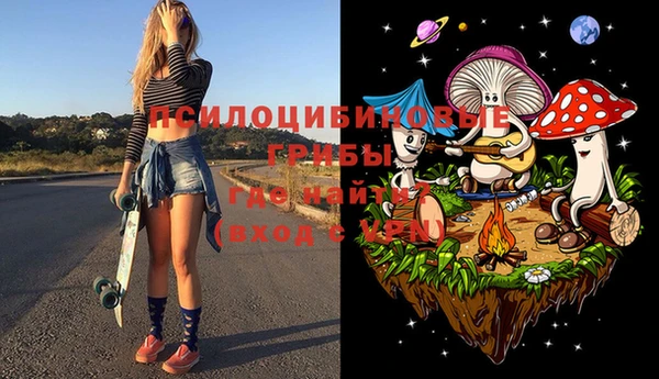 МДПВ Алексеевка