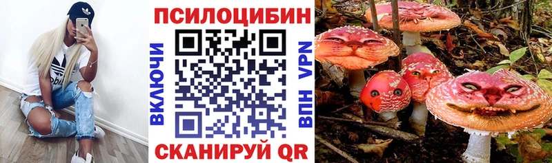 цены   Казань  Псилоцибиновые грибы Psilocybine cubensis 